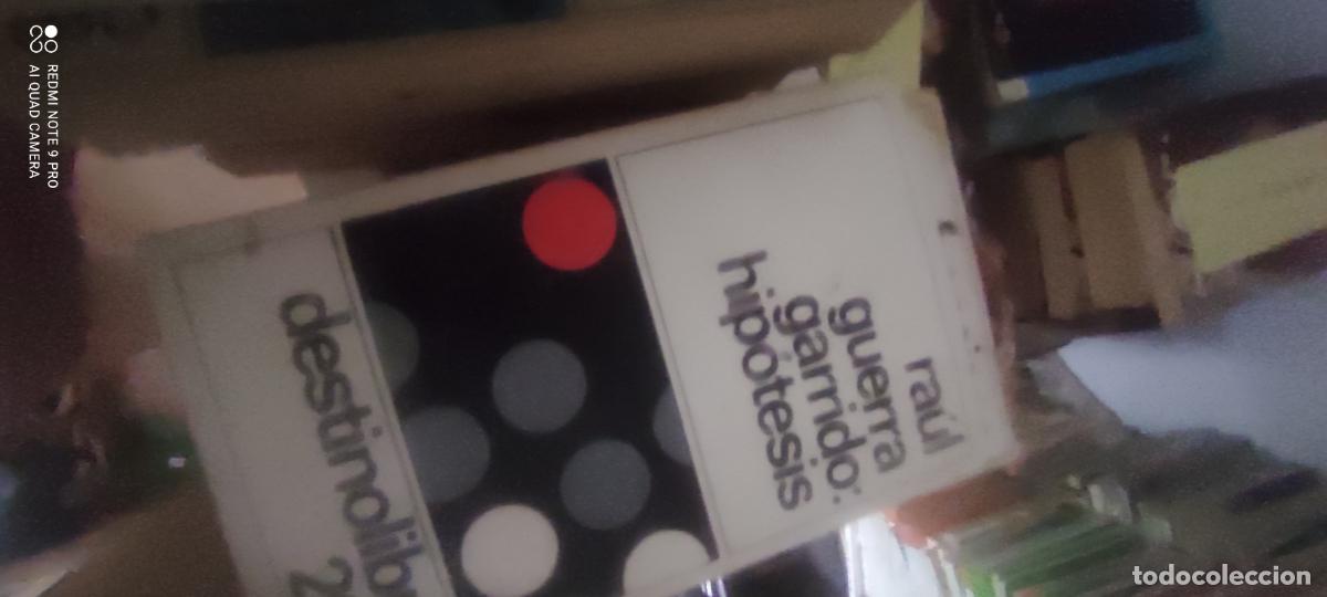 Libros de segunda mano: HIPOTESIS. Guerra Garrido,Raul EDITORIAL: Destino