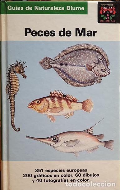 Libros de segunda mano: Peces de Mar - Terofal - Editorial Blume - Guias de Naturaleza