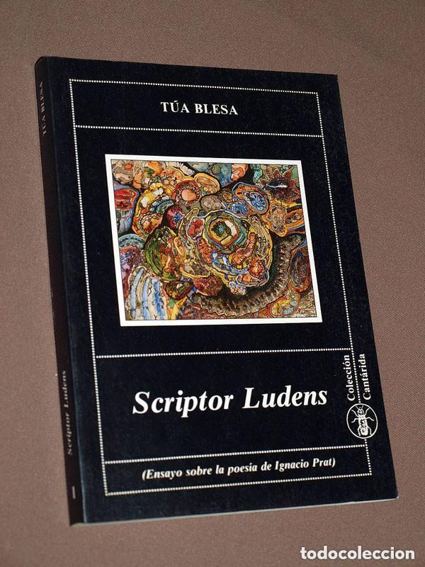 Libros de segunda mano: SCRIPTOR LUDENS (ENSAYO SOBRE LA POES&Iacute;A DE IGNACIO PRAT). T&uacute;a BLESA. Lola editorial, 1990 +++
