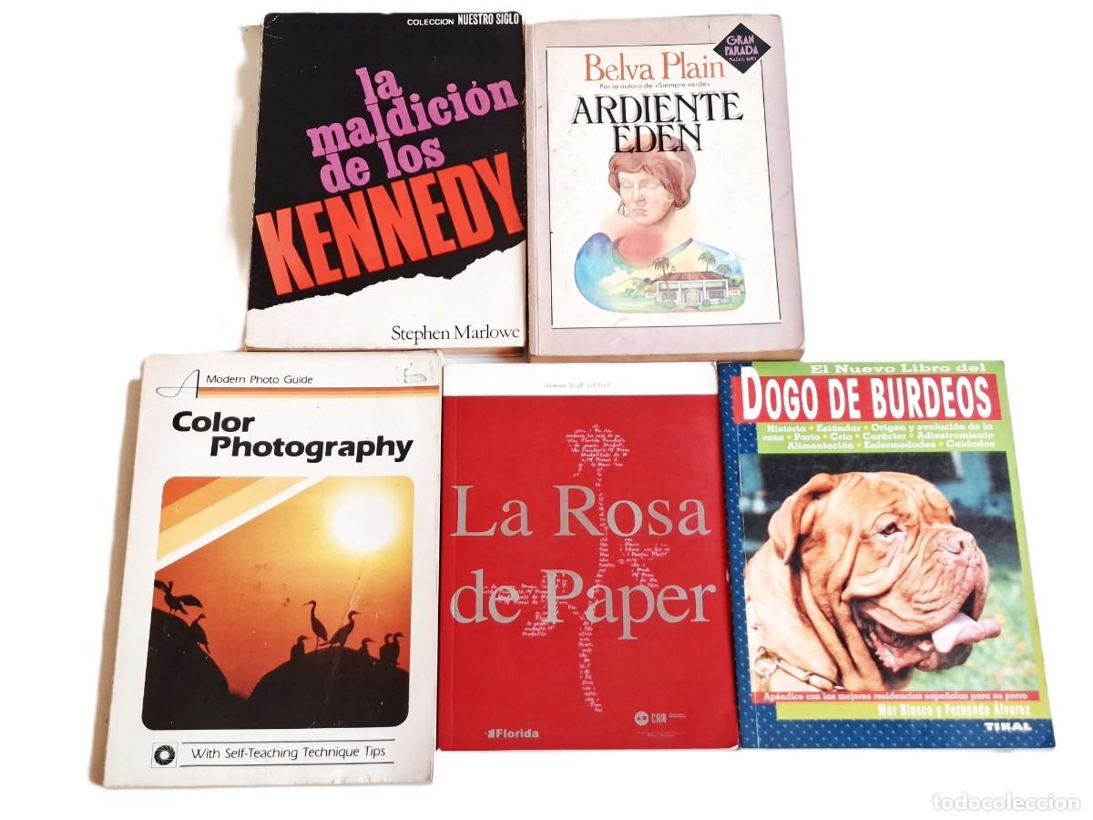Libros de segunda mano: LOTE DE 5 LIBROS DIFERENTES
