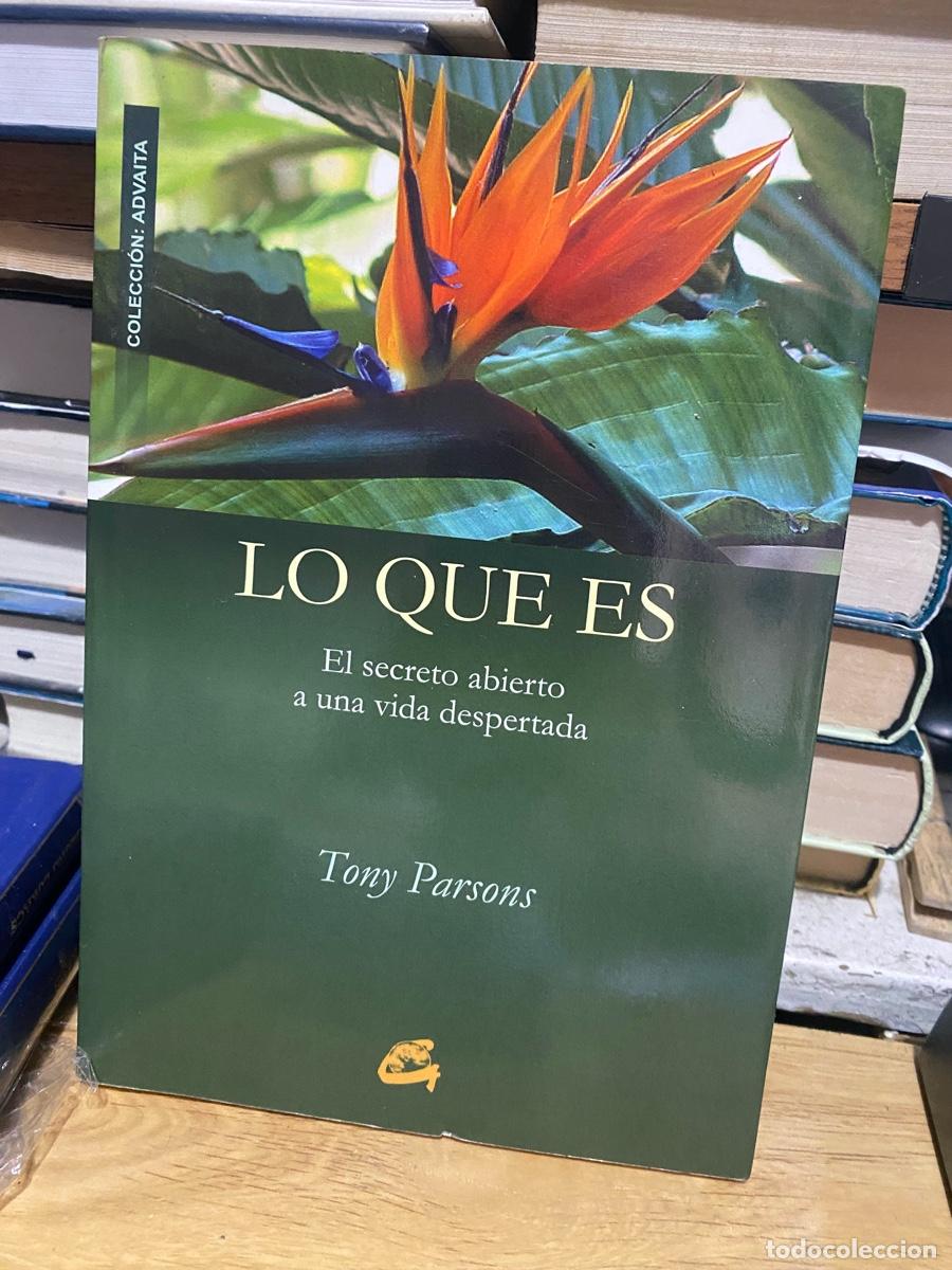 Libros de segunda mano: LO QUE ES, TONY PARSONS, COLECCION ADVATA