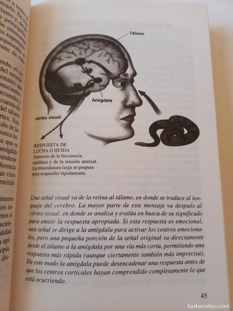 Libros de segunda mano: MITICO LIBRO DE D. GOLEMANN C&Oacute;MO GESTIONAR INTELIGENTEMENTE LAS EMOCIONES - Foto 13