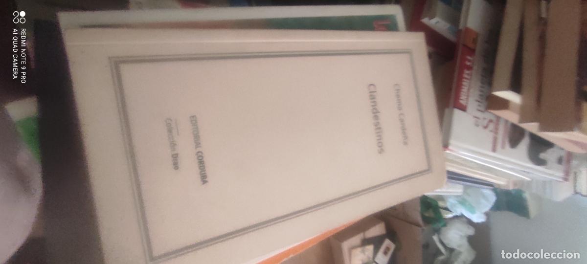 Libros de segunda mano: CLANDESTINOS. CHEMA CARDE&Ntilde;A. EDITORIAL CORDURA, COLECCION DRAO 1992