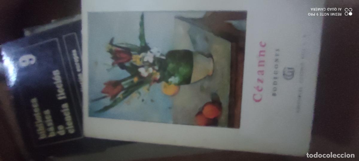 Libros de segunda mano: C&eacute;zanne - Bodegones - Paul C&eacute;zanne - Editorial Gustavo Gili