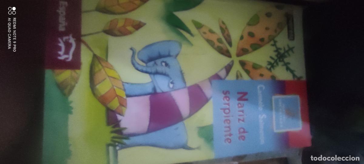 Libros de segunda mano: NARIZ DE SERPIENTE - CARMELO SALMER&Oacute;N - EVEREST - 2003