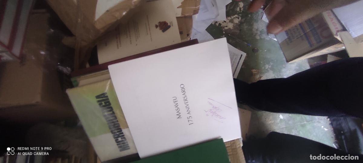 Libros de segunda mano: Masaveu 175 aniversario l