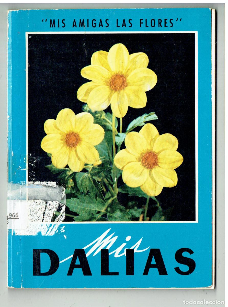 Libros de segunda mano: MIS AMIGAS LAS FLORES. MIS DALIAS. EDT. GUSTAVO GILI, 1968.(ST/PR2)