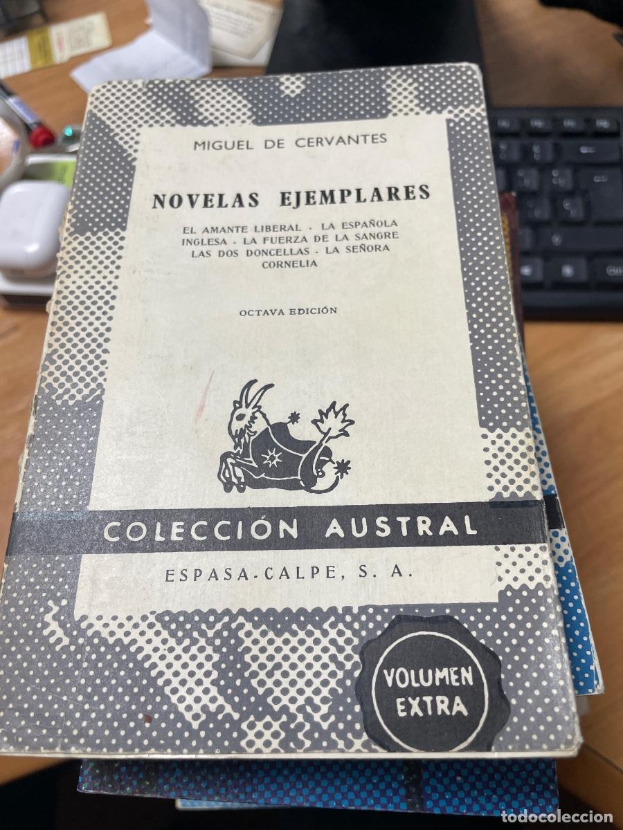 Libros de segunda mano: Novelas ejemplares Cervantes