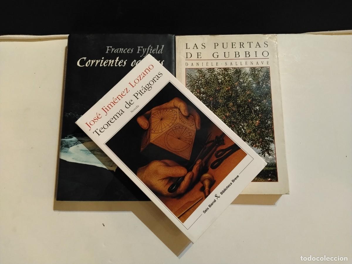 Livros em segunda m&atilde;o: LOTE 3 LIBROS.LAS PUERTAS DE GUBBIO-CORRIENTES OCULTAS Y TEOREMA DE PIT&Aacute;GORAS (VER FOTOS)