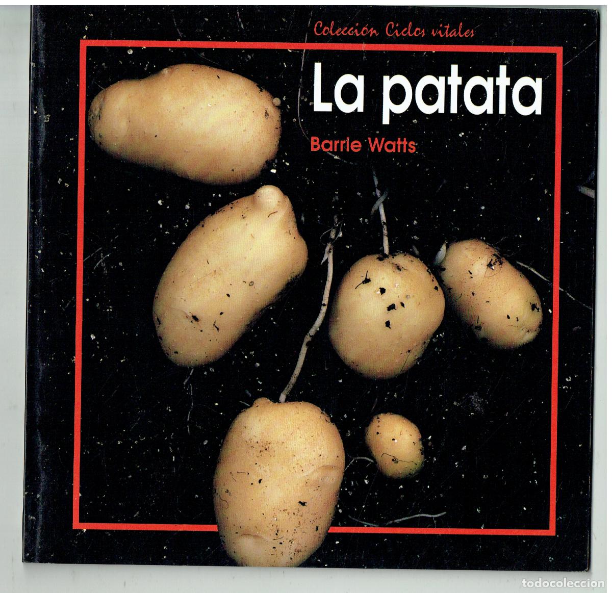 Libros de segunda mano: LA PATATA. BARRLE WATT. COLECCI&Oacute;N CICLOS VITALES, 1992.(ST/PR2)