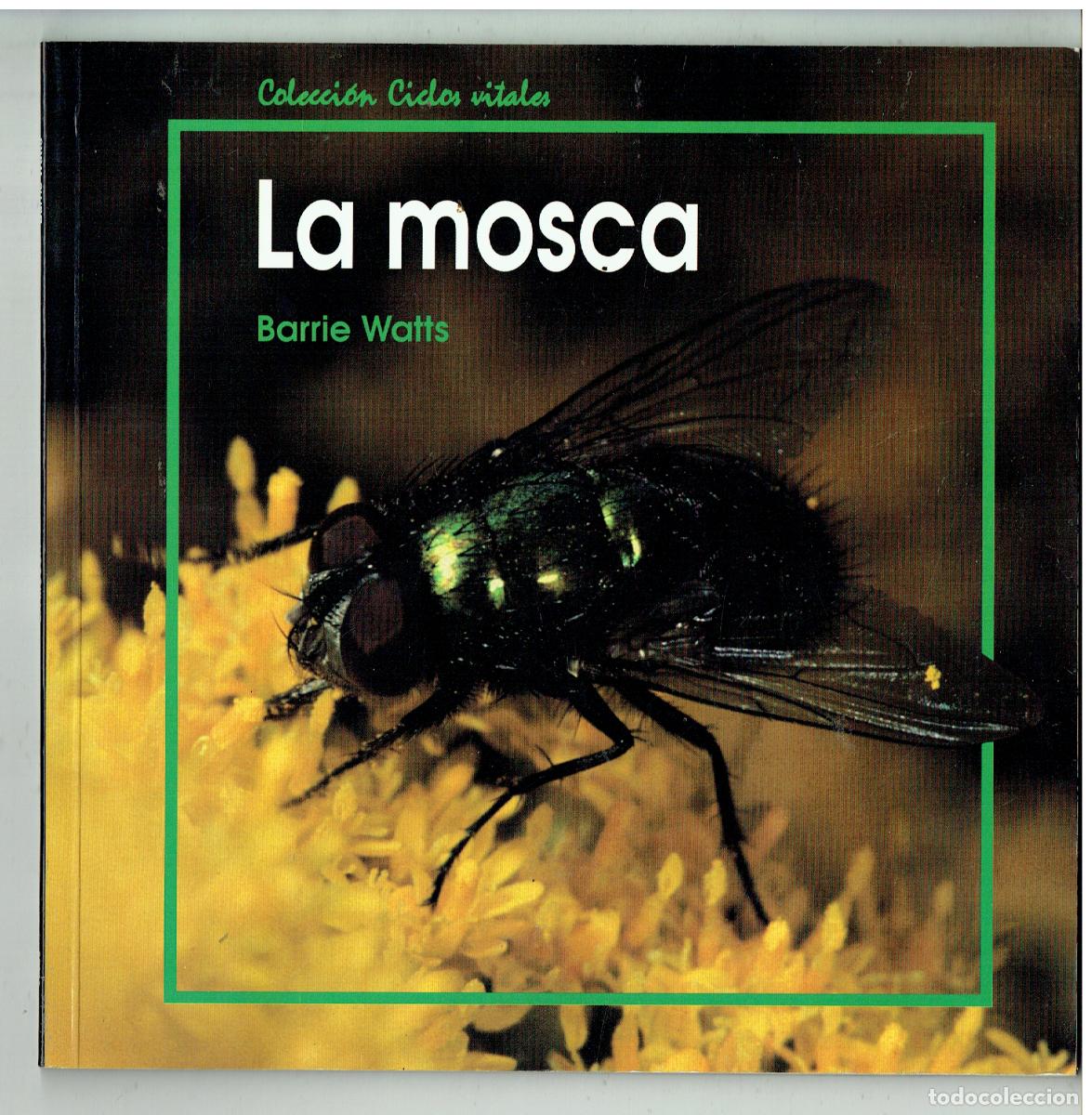 Libros de segunda mano: LA MOSCA. BARRLE WATT. COLECCI&Oacute;N CICLOS VITALES, 1992.(ST/PR2)