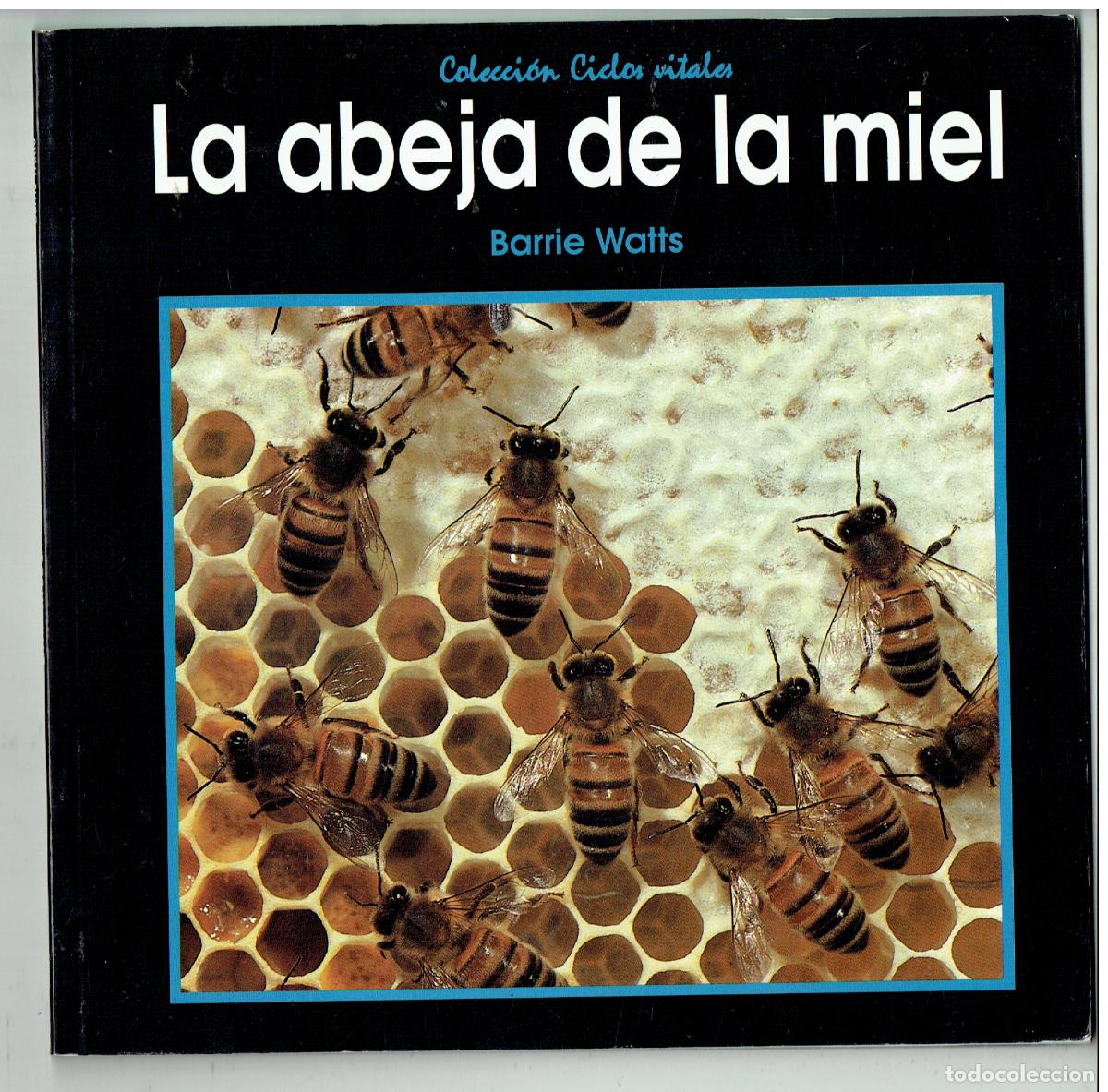 Libros de segunda mano: LA ABEJA DEE LA MIEL. BARRIE WATTS. COLECCI&Oacute;N CICLOS VITALES, 1992.(ST/PR2)