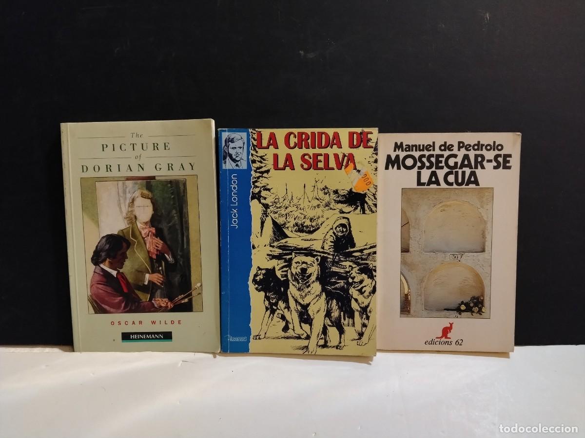 Livres d'occasion: 3 NOVELAS - PICTURE,LA CRIADA Y MOSSEGAR. (VER FOTOS)