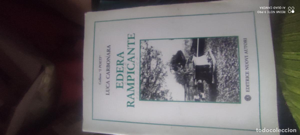Libros de segunda mano: edera rampicante.- Luca carbonara