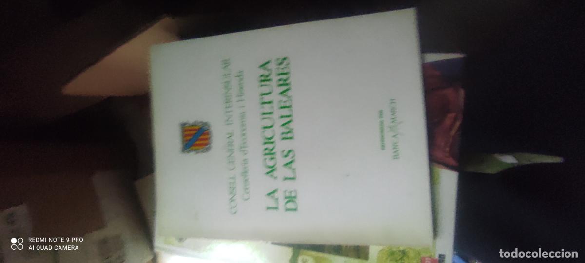 Libros de segunda mano: LA AGRICULTURA DE LAS BALEARES. A&Ntilde;O 1981 libro