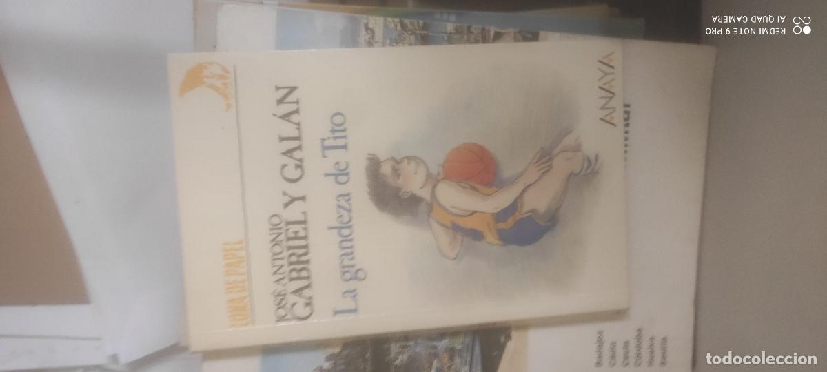 Libros de segunda mano: Jos&eacute; Antonio Gabriel y Gal&aacute;n - La grandeza de Tito Col. Luna de papel Ed. Anaya