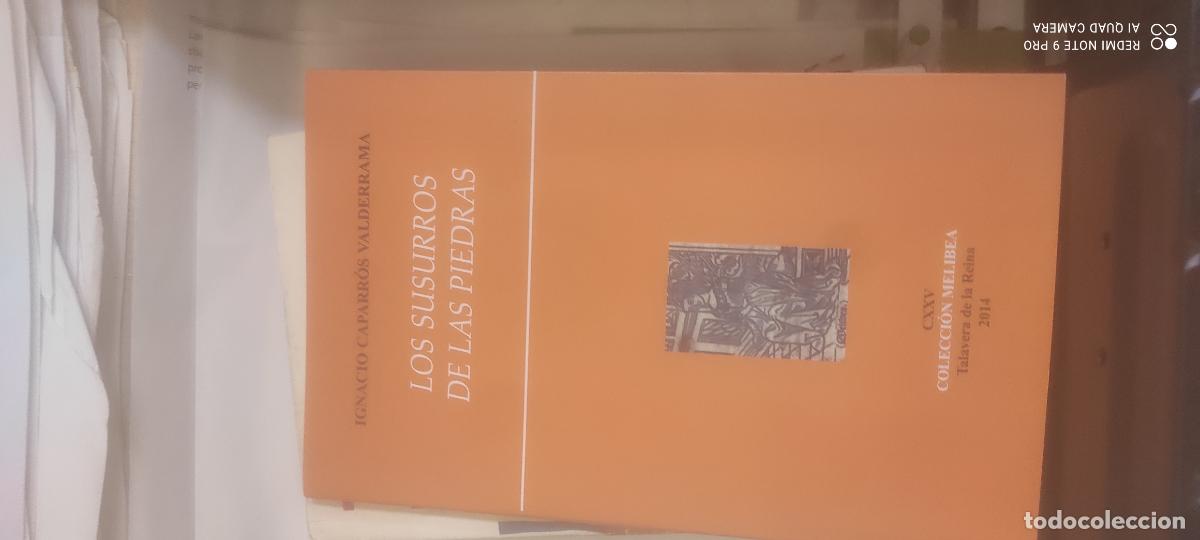 Libros de segunda mano: Los susurros de las piedras - CAPARR&Oacute;S VALDERRAMA, Ignacio
