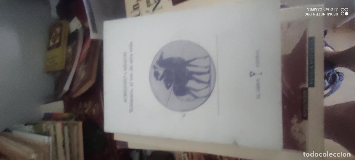Libros de segunda mano: TELEMACO EL SUR DE OTRA VIDA - Ca&ntilde;adas, Aureliano