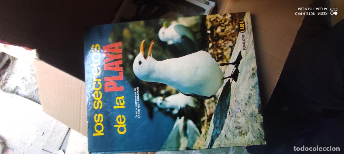 Libros de segunda mano: LOS SECRETOS DE LA PLAYA / ROGER GUY CHARMAN / EDITORIAL FHER