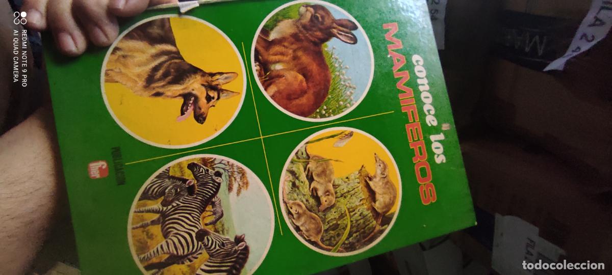 Libros de segunda mano: Conoce los mam&iacute;feros (Fher 1973)