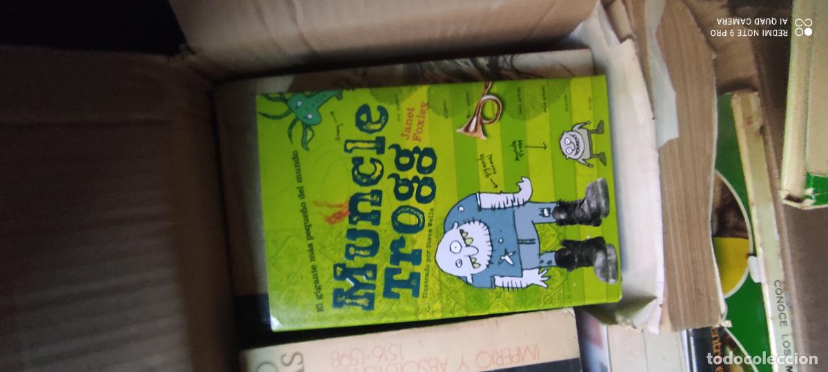 Libros de segunda mano: Muncle Trogg - Janet Foxley