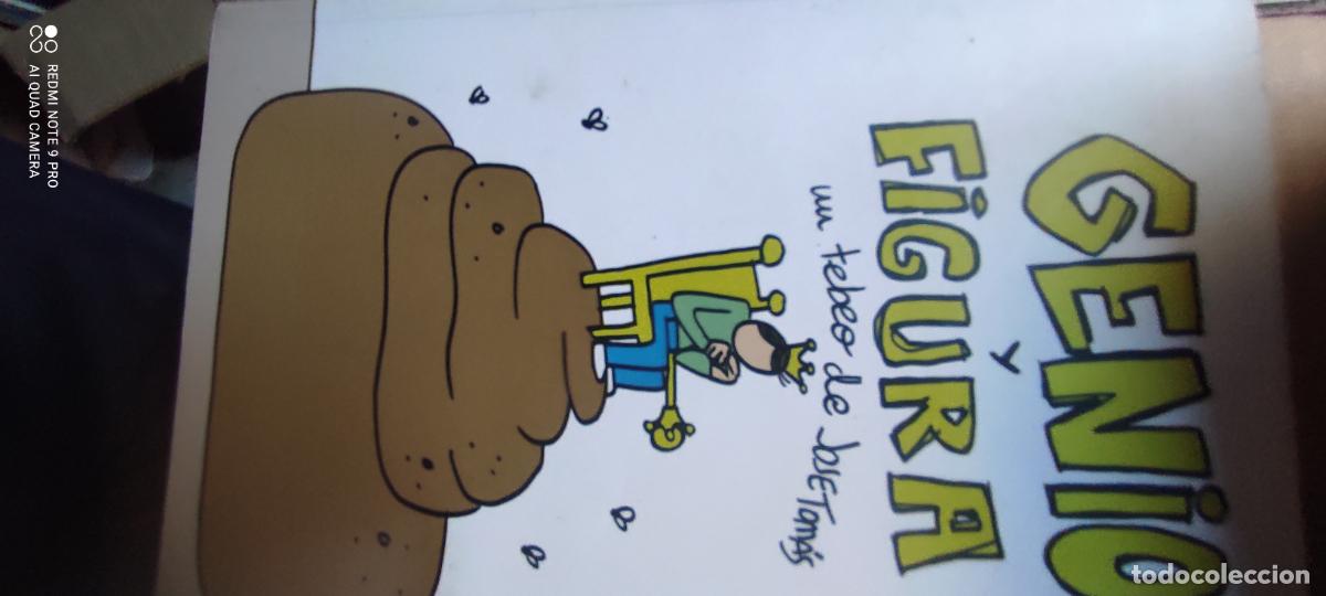 Libros de segunda mano: EDICIONES PONET GENIO Y FIGURA UN TEBEO DE JOSE TOMAS