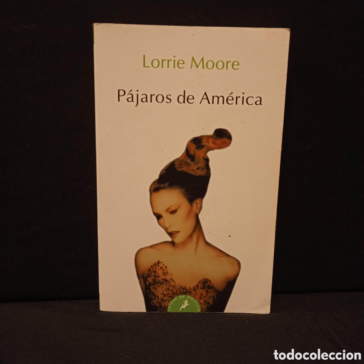Libros de segunda mano: P&Aacute;JAROS DE AM&Eacute;RICA - LORRIE MOORE - SALAMANDRA BOLSILLO 2009 #9705