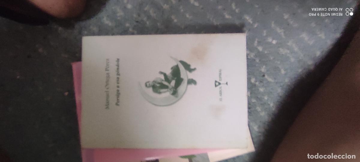 Libros de segunda mano: Persiga a esa g&oacute;ndola, Manuel Ortega P&eacute;rez, If ediciones, Bejar 2002