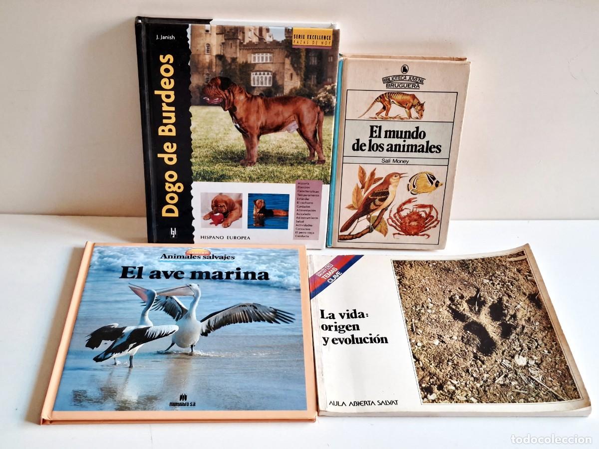 Libros de segunda mano: LOTE DE 5 LIBROS DIFERENTES