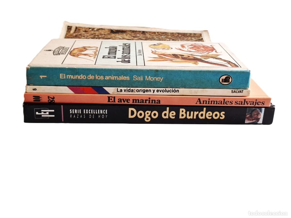Libros de segunda mano: LOTE DE 5 LIBROS DIFERENTES - Foto 2