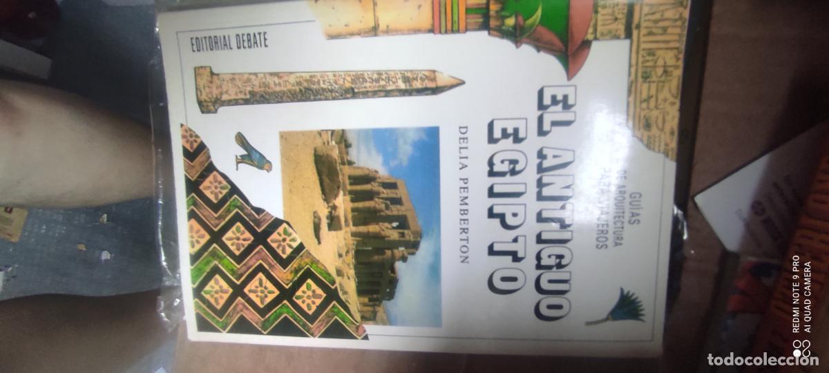 Libros de segunda mano: EL ANTIGUO EGIPTO, DELIDA PEMBERTON, ED. DEBATE