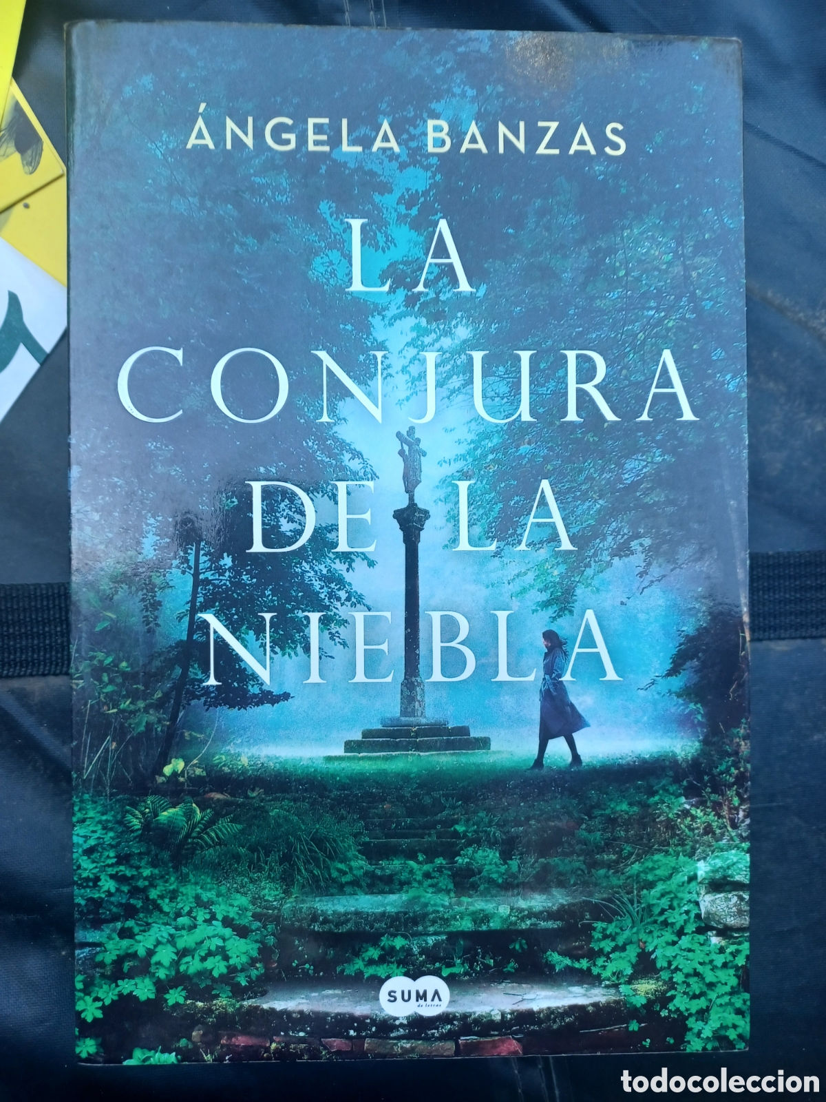 Second hand books: La conjura de la niebla - &Aacute;ngela Banzas