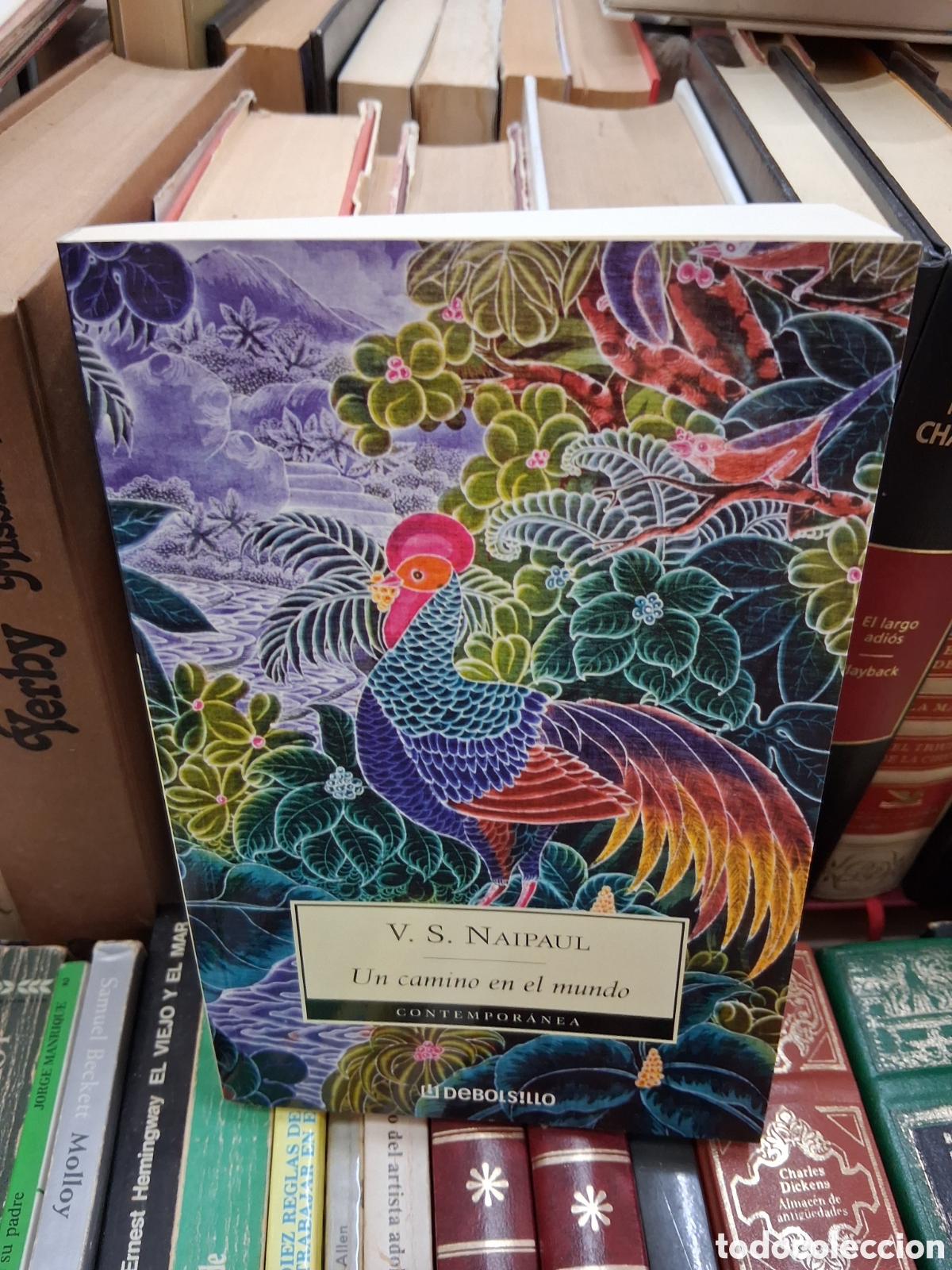 Libros de segunda mano: Un camino en el mundo- V.S. Naipaul - Contempor&aacute;nea Debolsillo Debol!llo