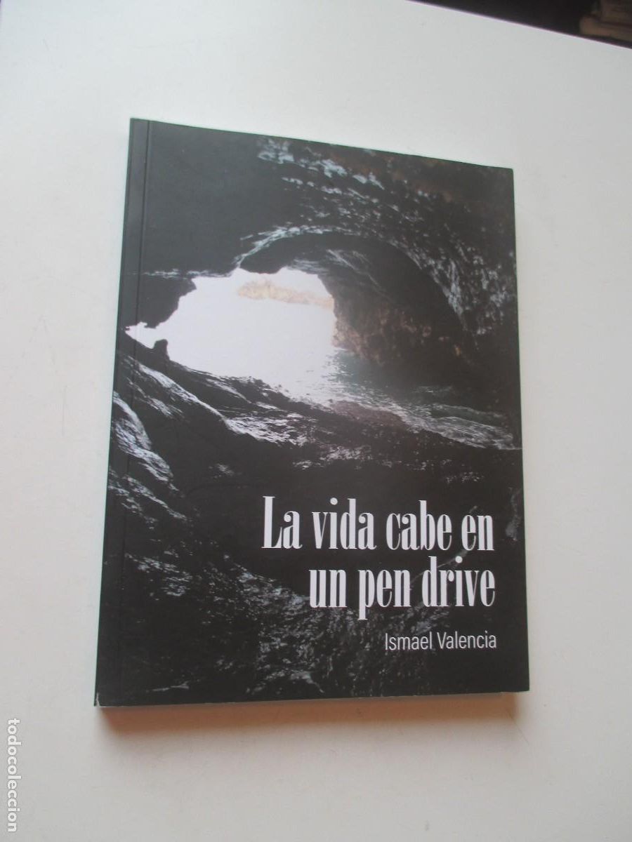 Libros de segunda mano: ISMAEL VALENCIA La vida cabe en un pen drive W40938
