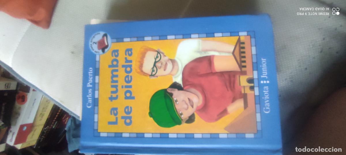 Libros de segunda mano: LOS SIETE ENIGMAS 2. LA TUMBA DE PIEDRA - PUERTO, CARLOS