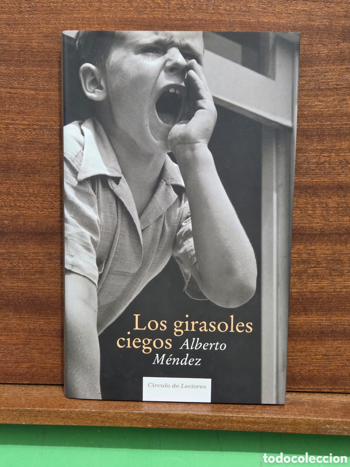 Libros de segunda mano: ALBERTO M&Egrave;NDEZ...&rdquo;&rdquo;LOS GIRASOLES CIEGOS&rdquo;&rdquo;...CIRCULO DE LECTORES...2005...