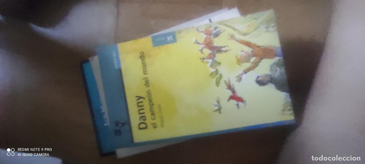 Libros de segunda mano: Danny, El Campe&oacute;n del Mundo - Roald Dahl - Edit. Ediciones Alfaguara. 2002