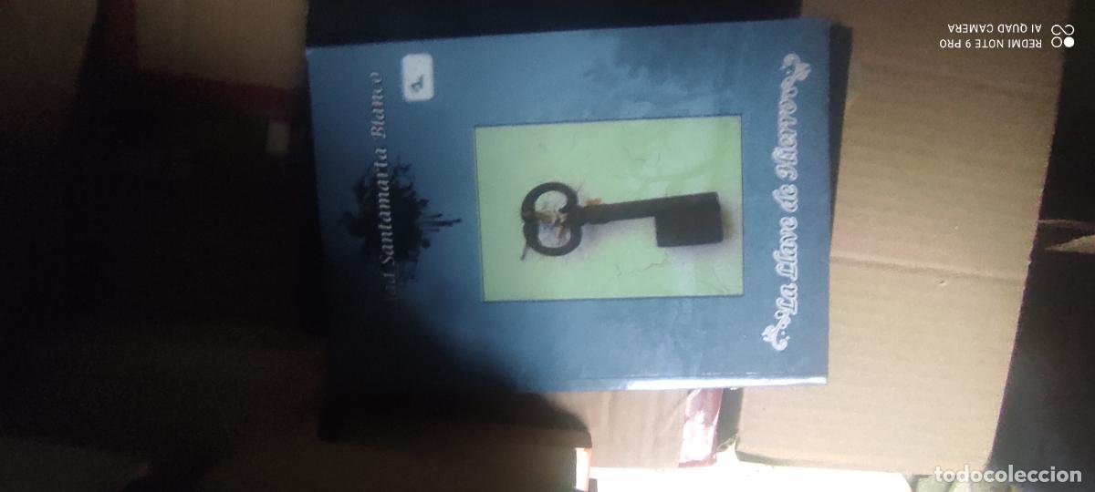 Libros de segunda mano: Santamaria Blanco. La llave de hierro l