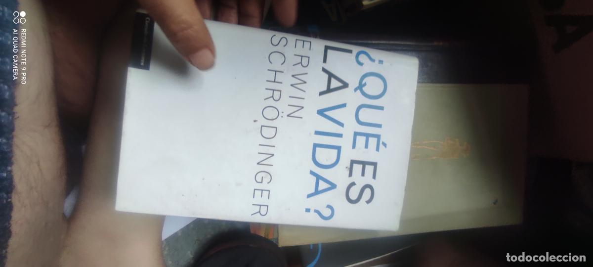 Libros de segunda mano: SCHRODINGER - QUE ES LA VIDA ?