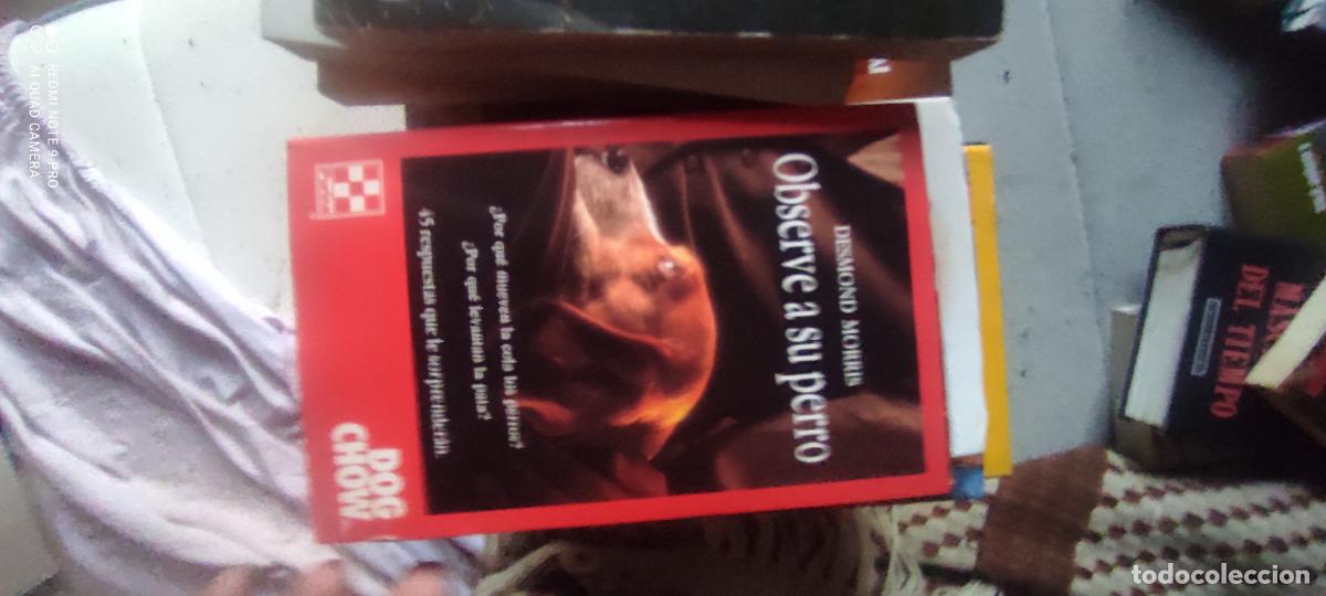 Libros de segunda mano: OBSERVE A SU PERRO - DESMOND MORRIS - PLAZA & JANES - 1988