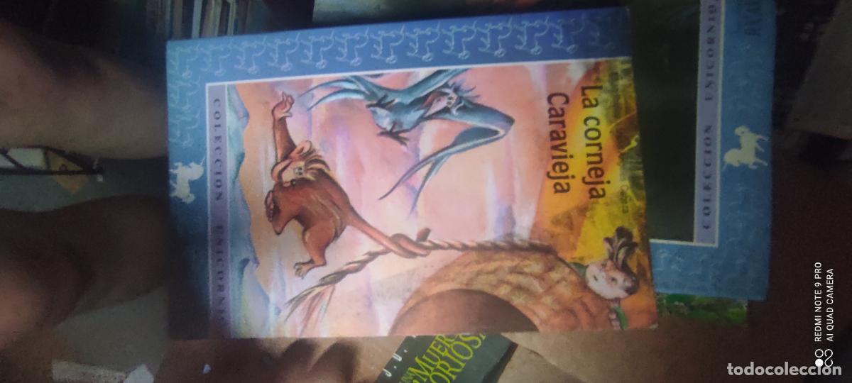 Libros de segunda mano: La Corneja Caravieja, por Juli&aacute;n Ib&aacute;&ntilde;ez y M&ordf; &Aacute;ngeles Cabeza (J&uacute;car, 1991). Colecci&oacute;n Unicornio n&deg;37.