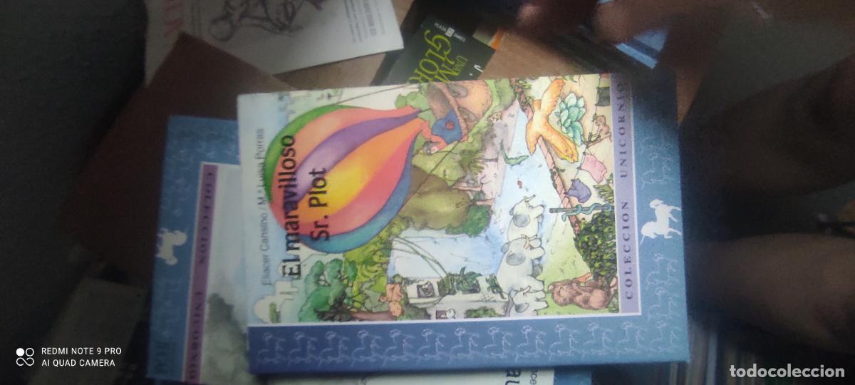 Libros de segunda mano: MARAVILLOSO SR. PLOT, EL - CANSINO, ELIACER; PORRAS LOBO, MAR&Iacute;A LUISA