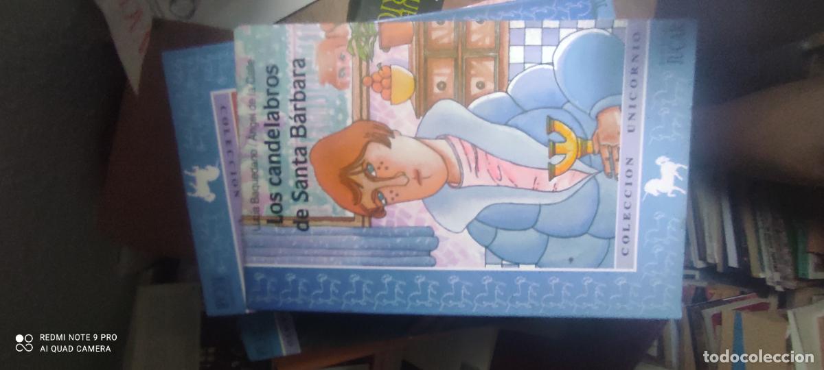 Libros de segunda mano: Los Candelabros de Santa B&aacute;rbara - Luc&iacute;a Baquedano/&Aacute;ngel de la Calle - Ediciones J&uacute;car - libro