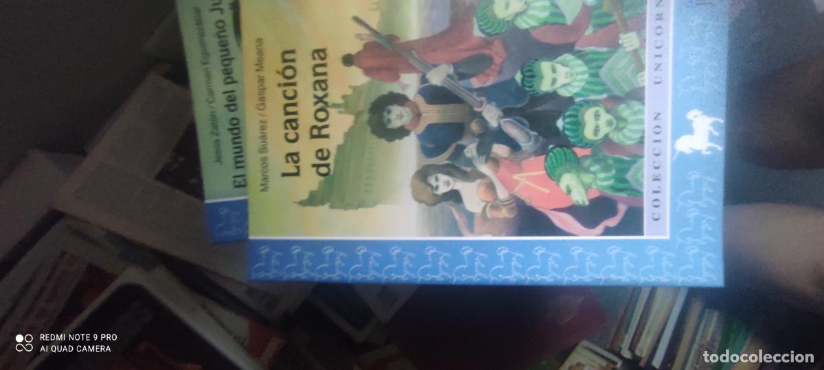 Libros de segunda mano: LA CANCI&Oacute;N DE ROXANA