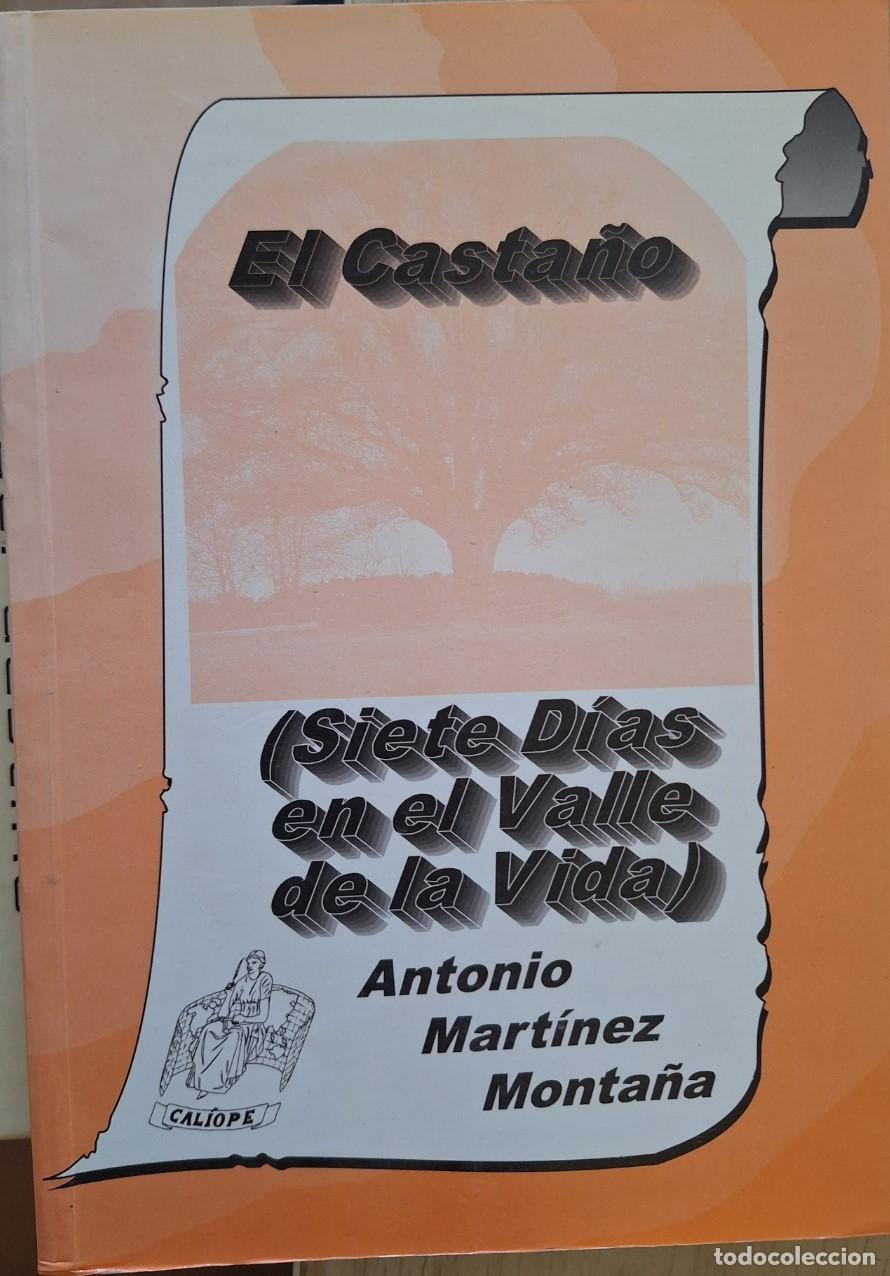 Libros de segunda mano: SIETE DIAS EN EL VALLE DE LA VIDA. - EL CASTA&Ntilde;O.