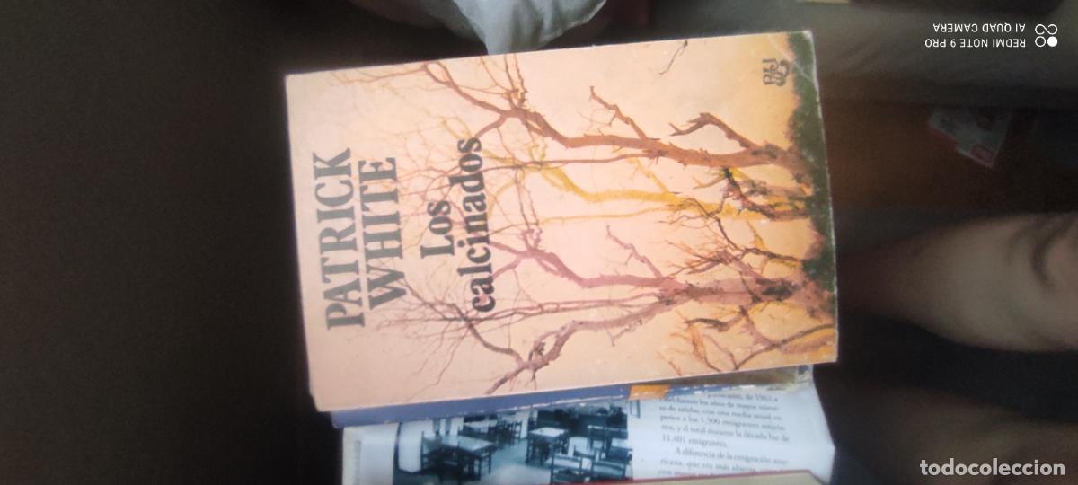 Libros de segunda mano: Los calcinados: White, Patrick