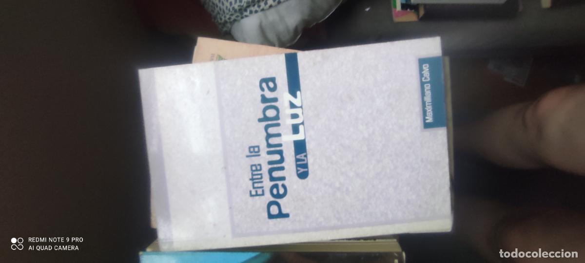 Libros de segunda mano: Entre la penumbra y la luz.- Calvo, Maximiliano