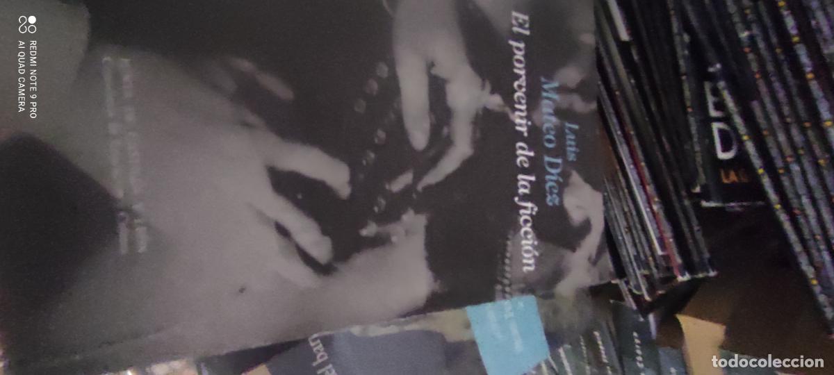 Libros de segunda mano: Luis Mateo Diez El porvenir de la ficcion ensayo de las letras