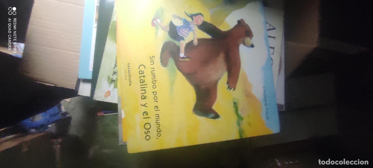 Libros de segunda mano: Sin rumbo por el mundo- Catalina y el oso - PIEPER, CHISTIANE