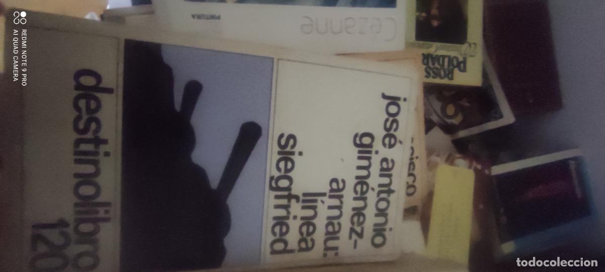 Libros de segunda mano: L&iacute;nea Siegfried - Jos&eacute; Antonio Gim&eacute;nez-Arnau - Ediciones Destino, 1981